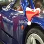 DSCF2576 (Custom).JPG